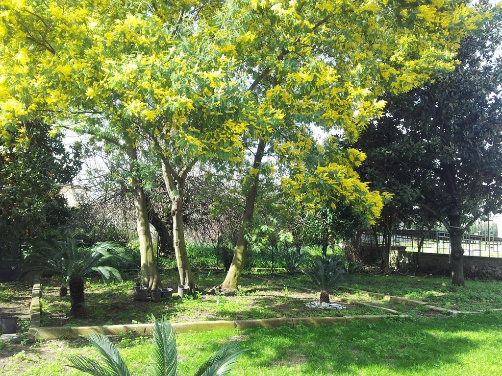 Casa Vacanze Antica Capua Santa Maria Capua Vetere Ngoại thất bức ảnh